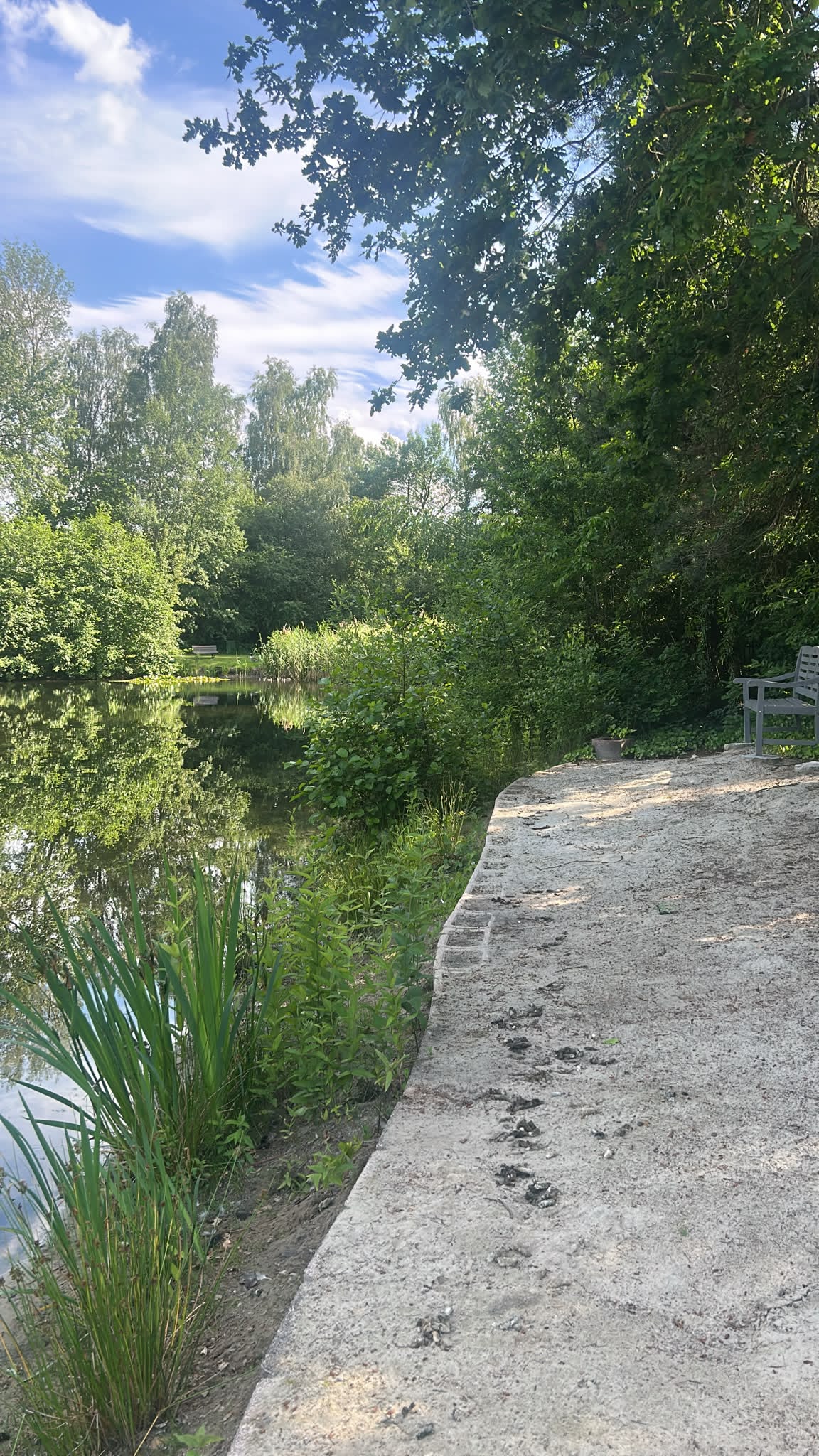 Angelsee am Campingplatz Wüllenheide
