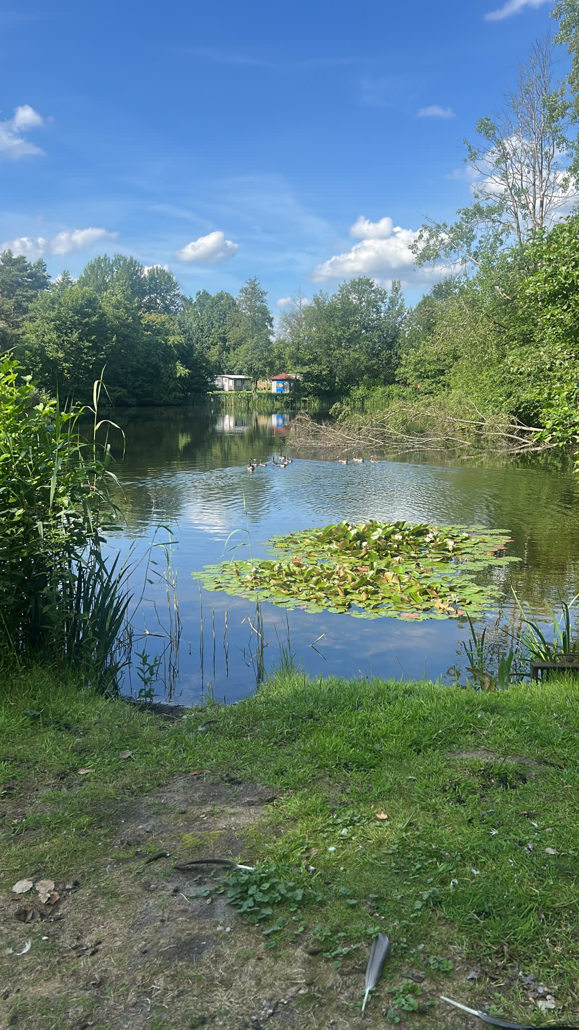 Angelsee am Campingplatz Wüllenheide