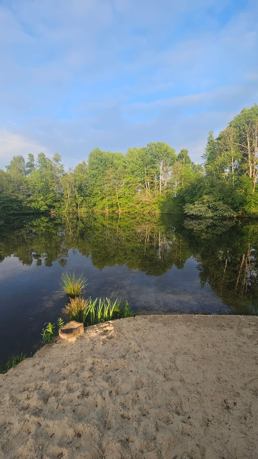 Angelsee am Campingplatz Wüllenheide