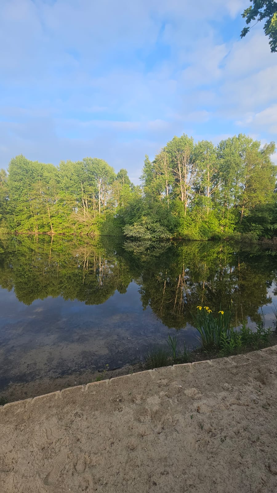 Angelsee am Campingplatz Wüllenheide