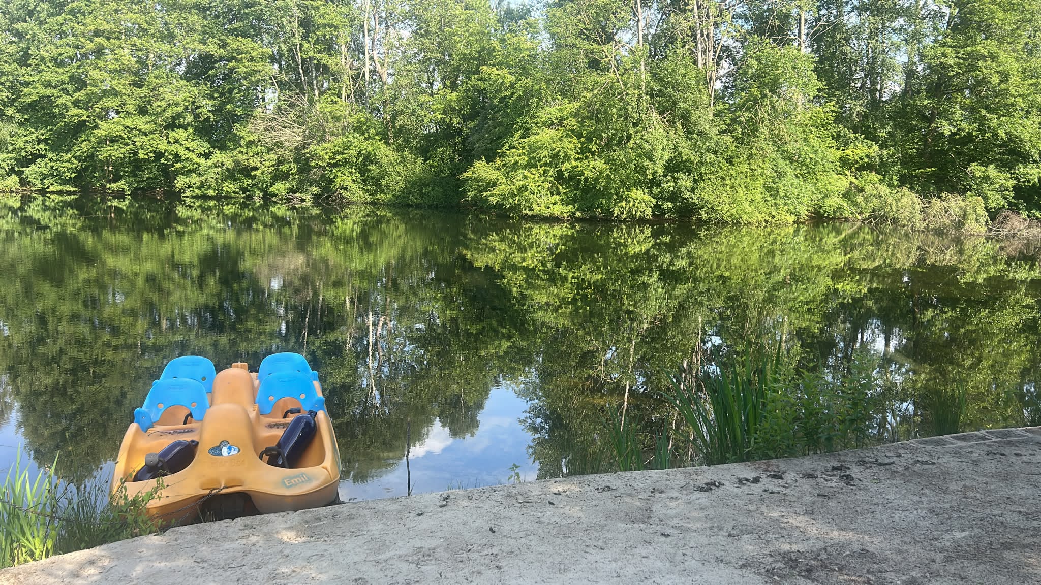 Angelsee am Campingplatz Wüllenheide
