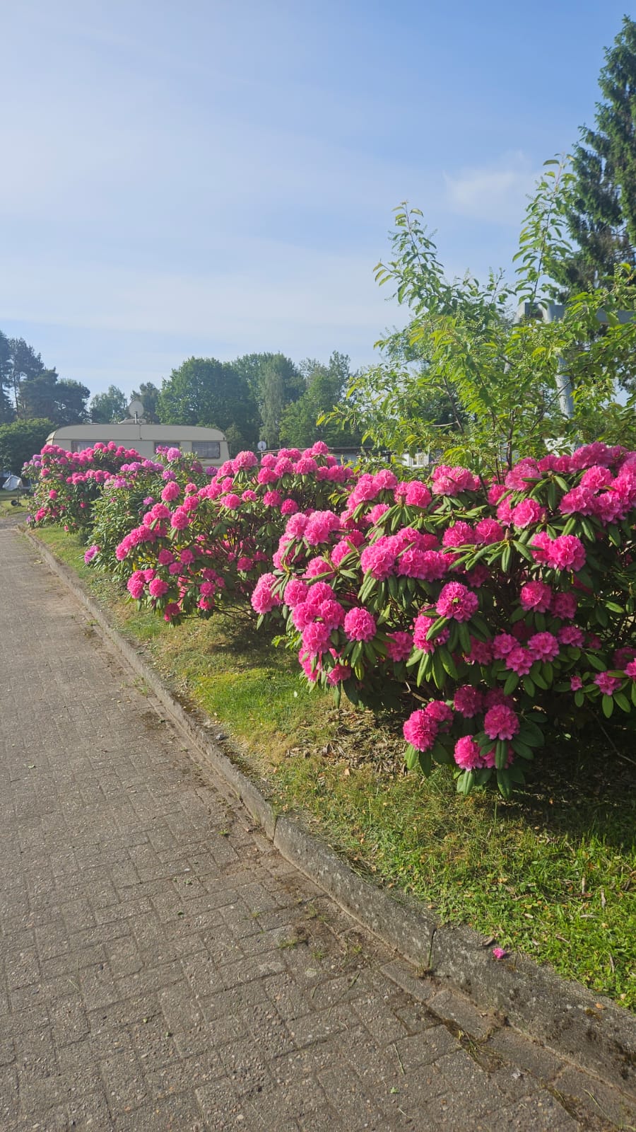 Heidebad bei Wüllenheide